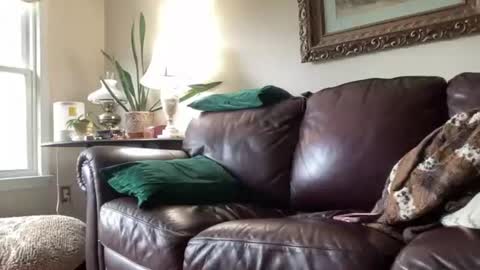 Jesse online show from June 15, 10:46 pm