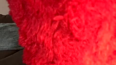 zottl89 online show from January 21, 8:00 am