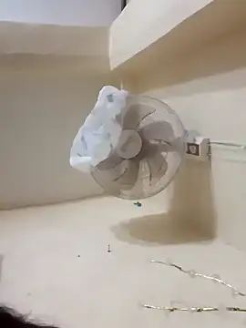 xxmoxxx online show from December 21, 8:43 pm