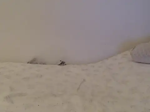 tai12312 online show from October 6, 3:38 pm