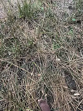 Snapshot of Yurt000 chatting on September 16, 4:57 am Yurt000 online show from September 16, 4:57 am