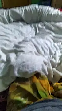 Niladri1410 online show from December 25, 7:13 pm