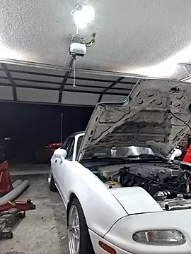 John19893 online show from February 14, 1:13 am