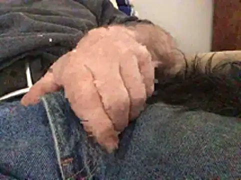 Nodsride online show from February 3, 8:47 pm