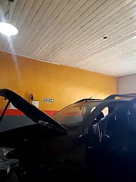 hecwil8 online show from November 1, 12:53 pm