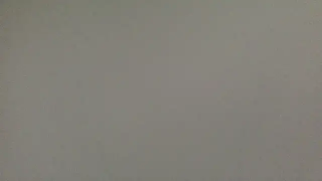 molozeb online show from October 5, 7:23 am