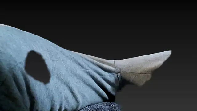 juanpalmox online show from October 10, 6:46 pm