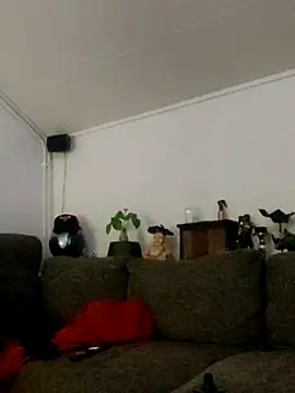 eltoulou online show from March 12, 9:45 pm