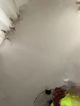 Snapshot of Yoyo6923 chatting on October 9, 7:13 am Yoyo6923 online show from October 9, 7:13 am