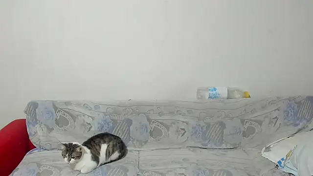 ANGELALEXYNO2024 online show from February 26, 8:26 am