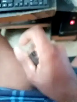 slchiku online show from November 17, 2:36 am