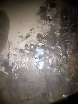 Rahul sharma horny online show from December 28, 3:59 pm