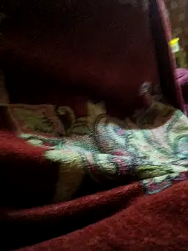 Sohel646 online show from April 8, 8:17 pm