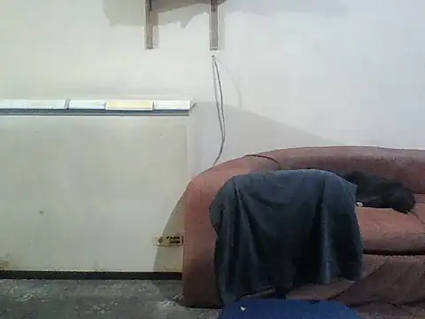 Rodrigo happy online show from November 25, 5:42 am