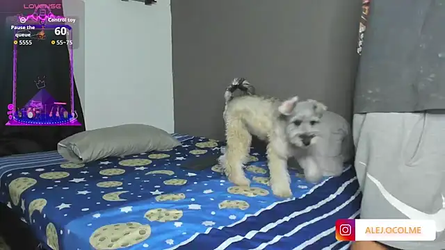 jacob firexx online show from July 2, 3:23 am