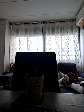 Snapshot of Javier_bear chatting on October 6, 8:41 am Javier bear online show from October 6, 8:41 am