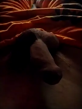 Luiz 097 online show from September 13, 6:47 am