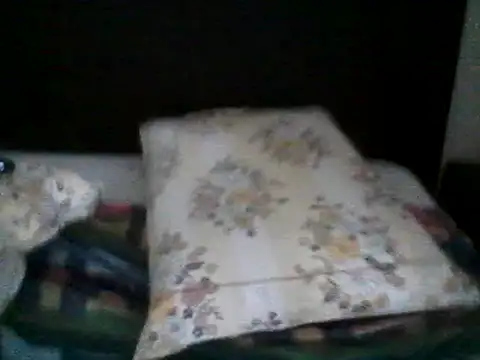 iamkingendymion online show from March 8, 10:39 am