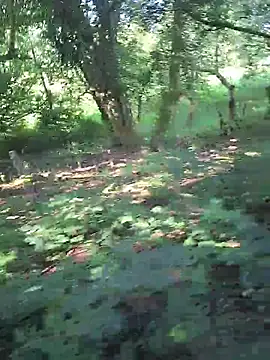 FreezingTie850 online show from July 14, 8:29 am