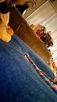 fukurbutt online show from February 19, 3:41 pm