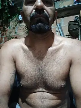 Sergipano fogozinho online show from July 25, 2:19 am