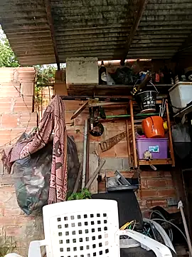 Sergipano fogozinho online show from October 5, 6:45 pm