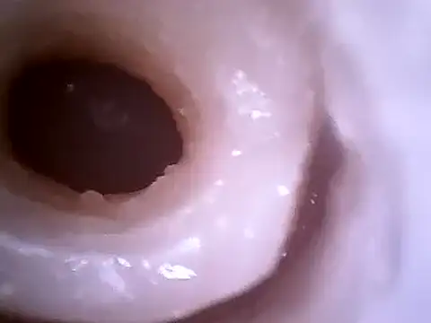 Beijing2000 online show from December 18, 12:29 pm