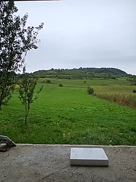 Mariusvidican online show from September 11, 11:31 am