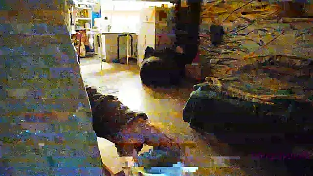 BongChannel online show from December 19, 4:56 am