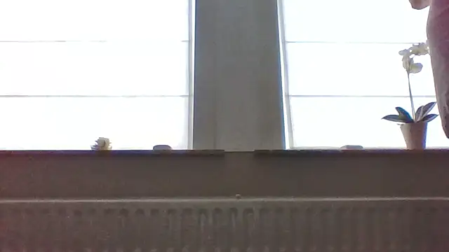 bertolini online show from April 13, 1:34 pm