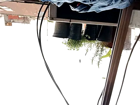 Snapshot of puak6666 chatting on September 29, 8:05 pm puak6666 online show from September 29, 8:05 pm