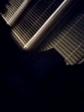 mastbacio online show from November 17, 6:38 am