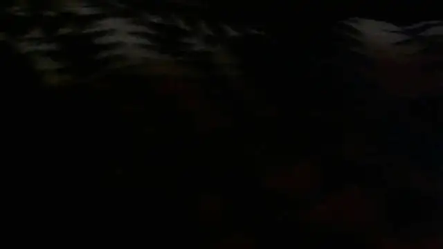 Jacknjimmyjohn online show from August 2, 9:51 am