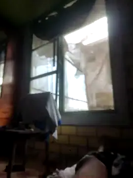 jhoel2024 online show from January 12, 10:58 pm