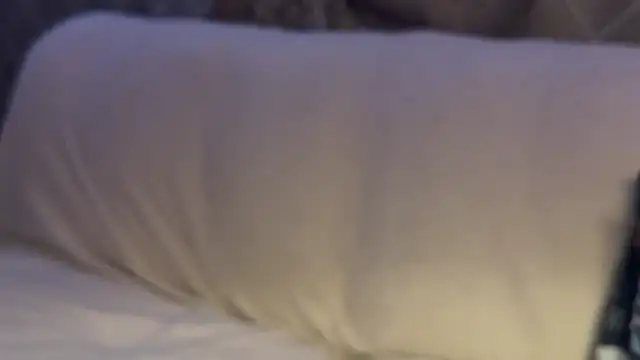 max o max42 online show from March 1, 12:39 am