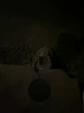 nowex18 online show from March 14, 5:48 am