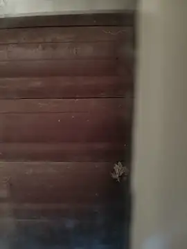 Snapshot of hardgetsex chatting on October 4, 4:01 pm hardgetsex online show from October 4, 4:01 pm