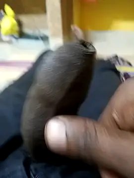 Tamil boy age28 online show from December 20, 3:35 am