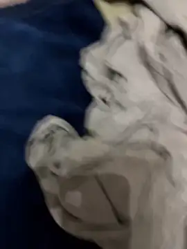 elatus0206 online show from December 31, 10:12 pm