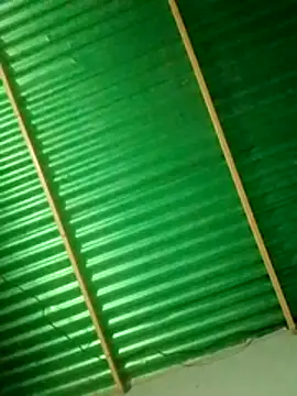 Snapshot of Denilgarri chatting on October 26, 4:25 am Denilgarri online show from October 26, 4:25 am