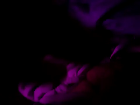 PeDrO2024 25 online show from December 15, 1:35 am