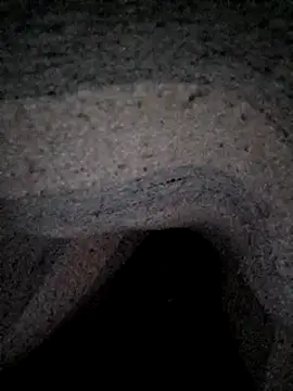 Tuo yuan online show from December 26, 3:27 am