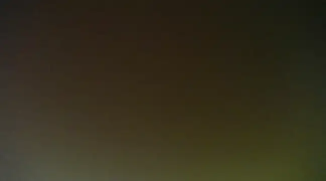 Snapshot of Lovensetest chatting on January 16, 8:22 am Lovensetest online show from January 16, 8:22 am