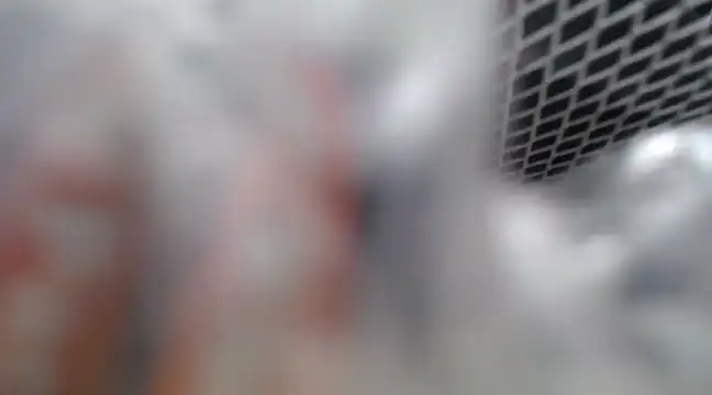 Snapshot of Lovensetest chatting on February 26, 7:09 am Lovensetest online show from February 26, 7:09 am