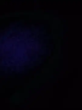 Hotukcoup online show from July 21, 8:33 pm