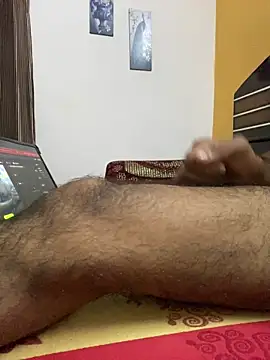 Wild beast online show from October 31, 10:51 am