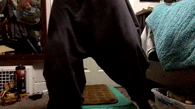 Robriguezxxx online show from December 26, 7:56 am