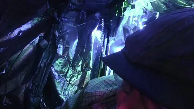 thecoolarrow online show from February 25, 4:57 am