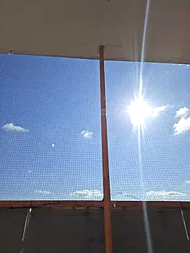 McdyllanXX online show from March 15, 11:40 am