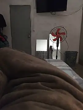 719610 online show from November 6, 3:53 am